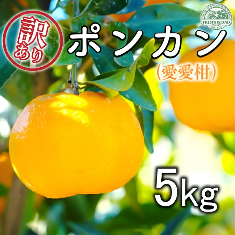 先行予約 訳あり ポンカン 約5kg 愛愛柑 10000円 わけあり ぽんかん みかん 蜜柑 果物 くだもの 果実 柑橘 ミカン mikan フルーツ ゼリー ジュース 甘い ジューシー デザート ブランド 特産品 国産 産直 産地直送 ビタミン 美容 健康 糖度 愛媛県 愛南町