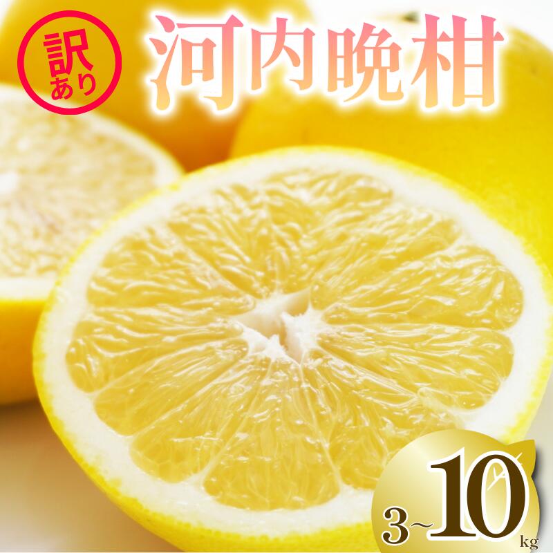 2026年 先行予約 選べる 容量 訳あり 河内晩柑 3kg 5kg 10kg M から 3L サイズミックス 樹齢 20年 以上 古木 愛南ゴールド 和製 グレープフルーツ 家庭用 愛媛 みかん 果物 フルーツ デザート ジュース ゼリー 特産品 愛媛県 愛南町 清家ばんかんビレッジ