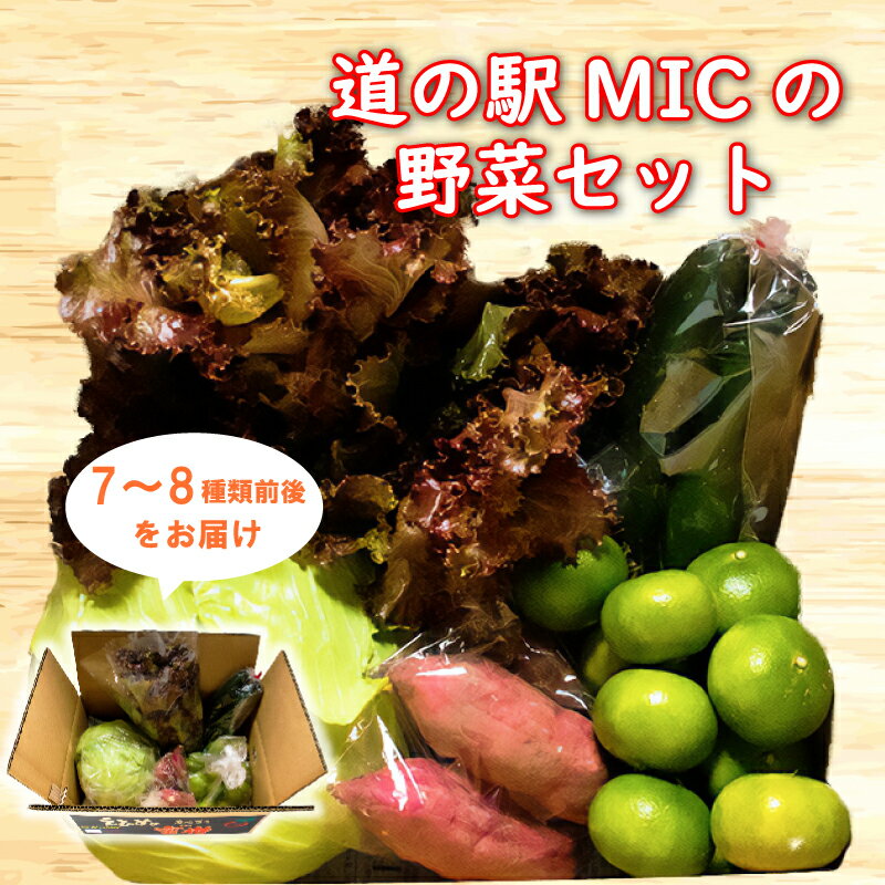 旬の野菜 セット 7～8種類前後 野菜 サラダ 新鮮 葉物 根菜 香味 定番野菜 愛媛 愛南 愛南総研 道の駅MIC