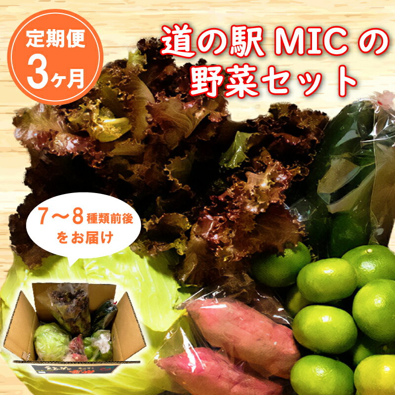 定期便 3回 旬の野菜セット 7～8種類前後 野菜 サラダ 新鮮 葉物 根菜 香味 定番野菜 愛媛 愛南 愛南総研 道の駅MIC