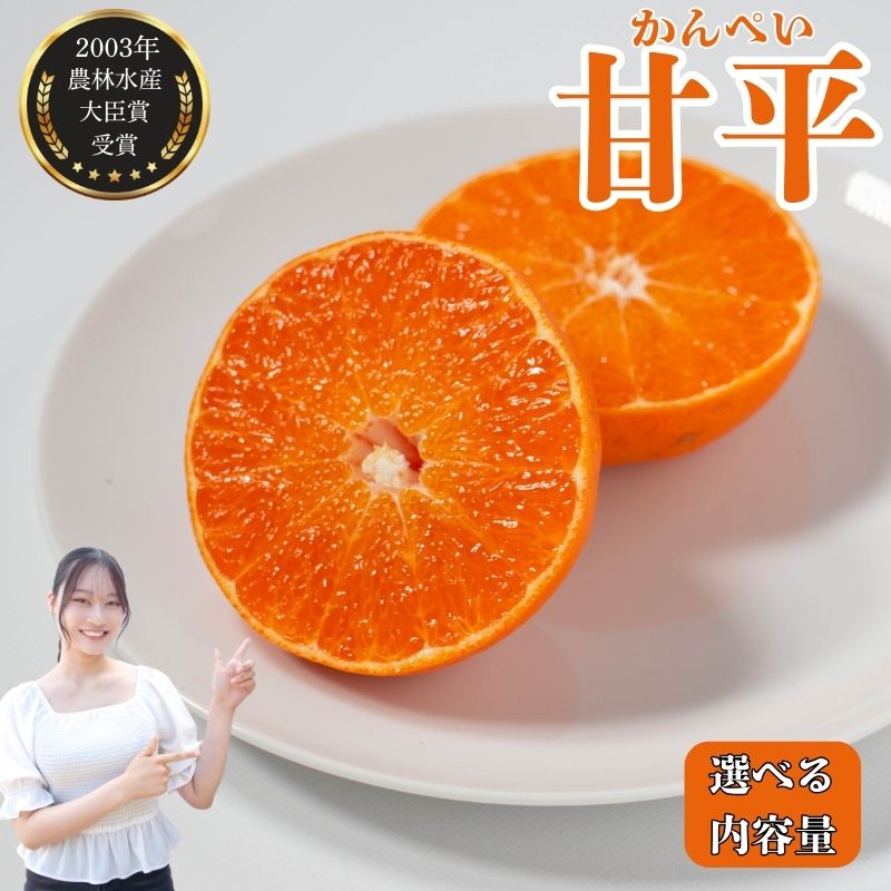 先行予約受付 数量限定 訳あり 甘平 1.5kg / 贈答用750g みかん 蜜柑 柑橘 果物 フルーツ 高級 人気 糖度 ビタミン 健康 ブランド 国産 減農薬 除草剤不使用 有機肥料使用 愛媛県 愛南町 吉本農園 発送:2026年2月中旬〜なくなり次第終了