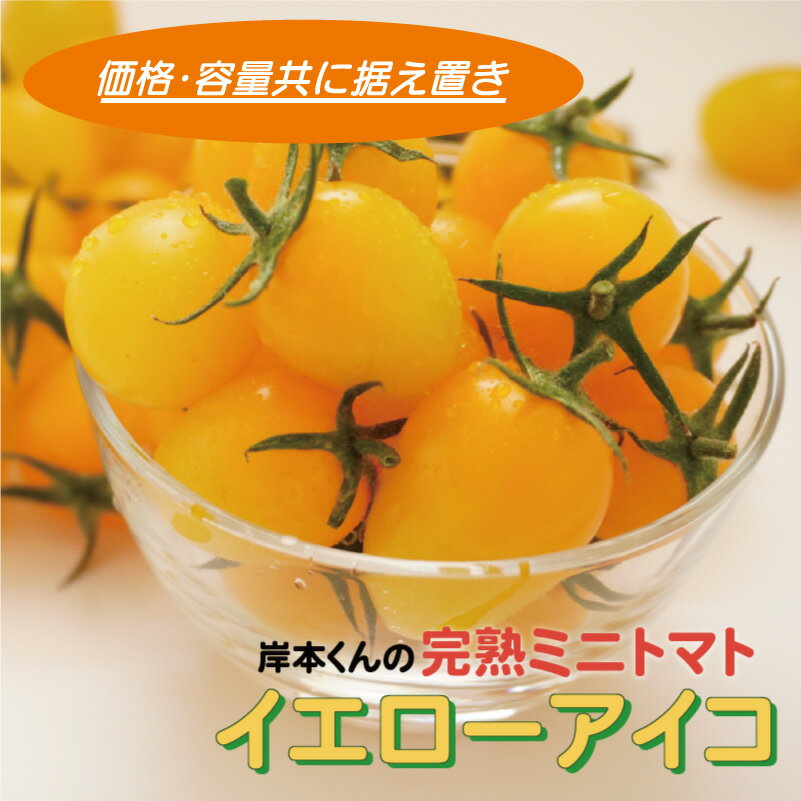 完熟 ミニトマト イエローアイコ 180g 8パック 計 1.4kg 岸本くん 国産 緑黄色 野菜 濃厚 甘い おいしい 数量限定 生産者 産地 直送 産直 発送期間:2025年12月1日〜2026年5月10日