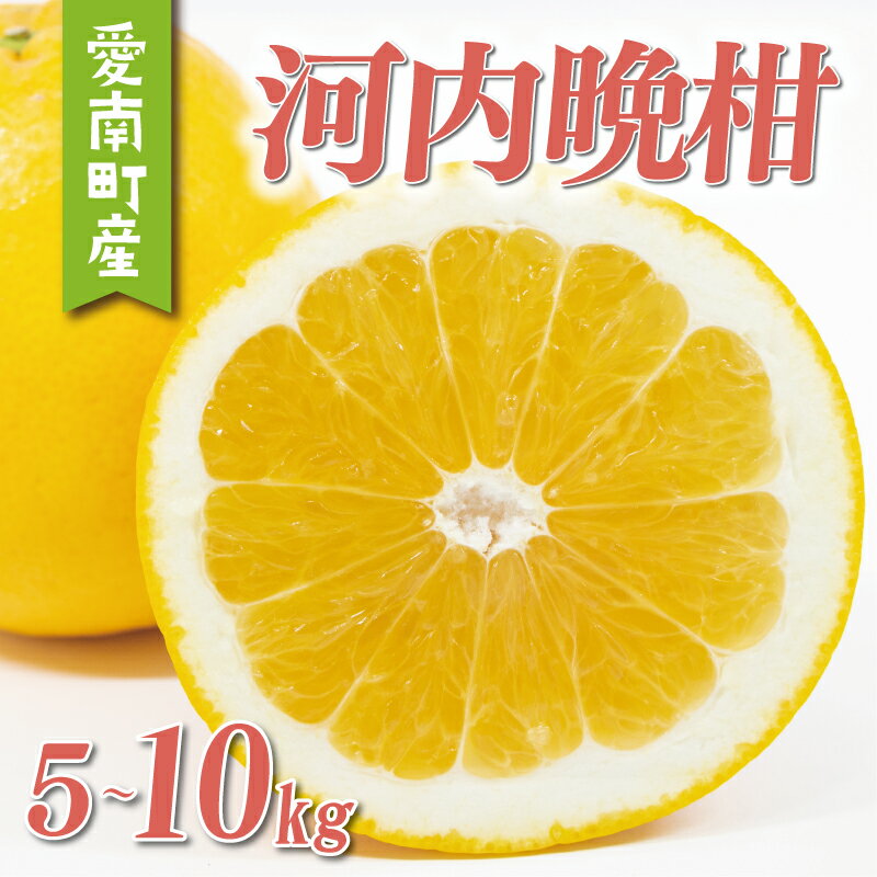 数量限定 先行予約 選べる 内容量 河内晩柑 5kg 7kg 8kg 10kg 訳あり 贈答用 大玉 4L 以上 期間限定 わけあり 愛媛 みかん mikan 蜜柑 ミカン 愛南ゴールド 国産 特産品 ギフト プレゼント お中元 果物 柑橘 おいしい 甘い 前田ファーム 愛南町 愛媛県