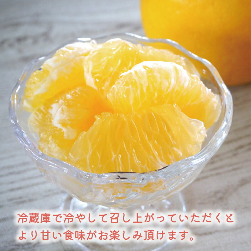 【ふるさと納税】 数量限定 先行予約 選べる 内容量 河内晩柑 5kg 7kg 8kg 10kg 訳あり 贈答用 大玉 4L 以上 期間限定 わけあり 愛媛 みかん mikan 蜜柑 ミカン 愛南ゴールド 国産 特産品 ギフト プレゼント お中元 果物 柑橘 おいしい 甘い 前田ファーム 愛南町 愛媛県 サムネイル3