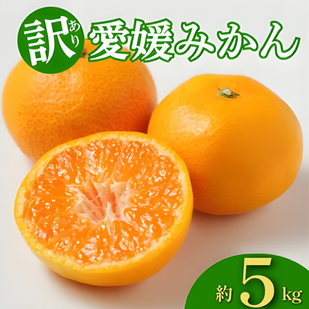 訳あり 愛媛みかん 約5kg みかん 蜜柑 温州みかん オレンジ 果物 フルーツ 柑橘 こたつ みかん 人気 期間 限定 サイズ 傷 不揃い サラダ スムージー お菓子 ケーキ スイーツ 甘い ジューシー 数量 限定 国産 農園 産地 直送 和家農園 愛媛県 愛南町