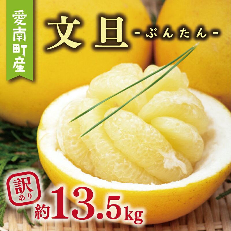訳あり 文旦 13.5kg 13000円 ぶんたん みかん mikan 蜜柑 ミカン わけあり 家庭用 産地直送 国産 農家直送 期間限定 数量限定 特産品 人気 限定 フルーツ 果物 柑橘 小玉 含む サイズ ミックス 傷み補償 500g ミッチーのおみかん畑 愛南町 愛媛県