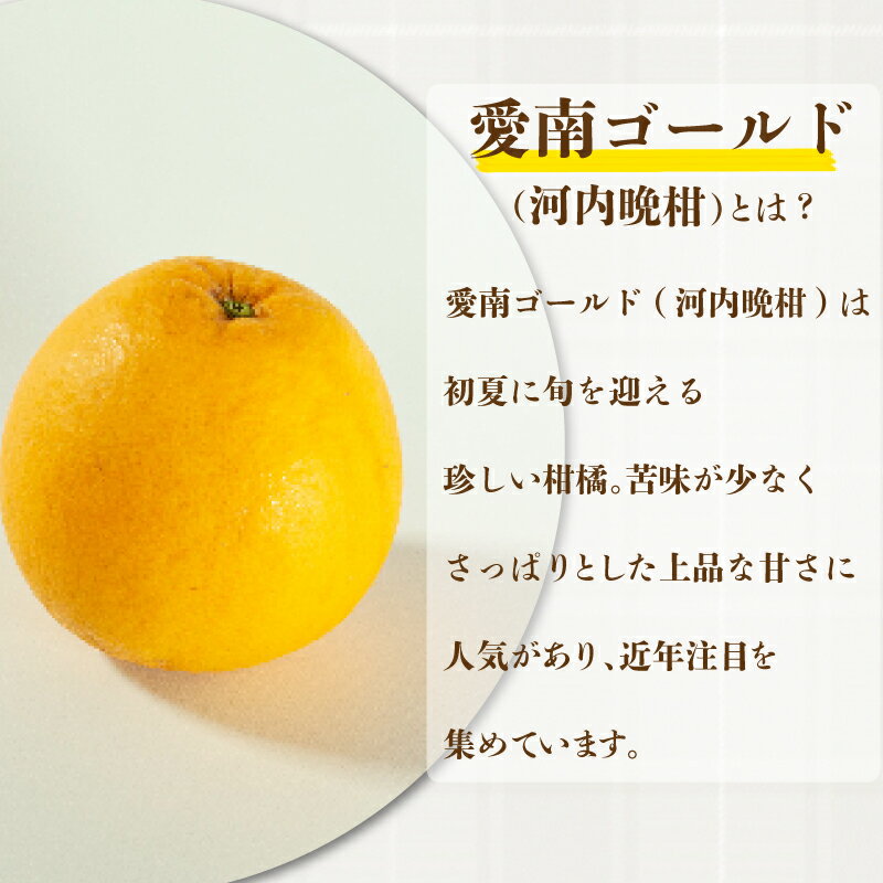 【ふるさと納税】 先行予約 訳あり 愛南ゴールド 8kg S~Mサイズ 河内晩柑 柑橘 フルーツ 果物 蜜柑 みかん くだもの 家庭用 傷 不揃い サイズミックス かわち ばんかん 和製 グレープフルーツ デザート甘い ジューシー 特産品 国産 農園 直送 愛媛県 愛南町 和家農園 サムネイル2