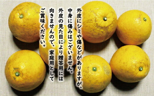 【ふるさと納税】 【 高評価 ★4.8】 先行予約 訳あり 河内晩柑 8kg 7000円 みかん かわちばんかん 愛南ゴールド あいなん ゴールド 美生柑 文旦 グレープフルーツ 和製 家庭用 国産 期間限定 数量限定 わけあり 人気 フルーツ 果物 柑橘 規格外 愛媛県 愛南町 塚岡農園 サムネイル2