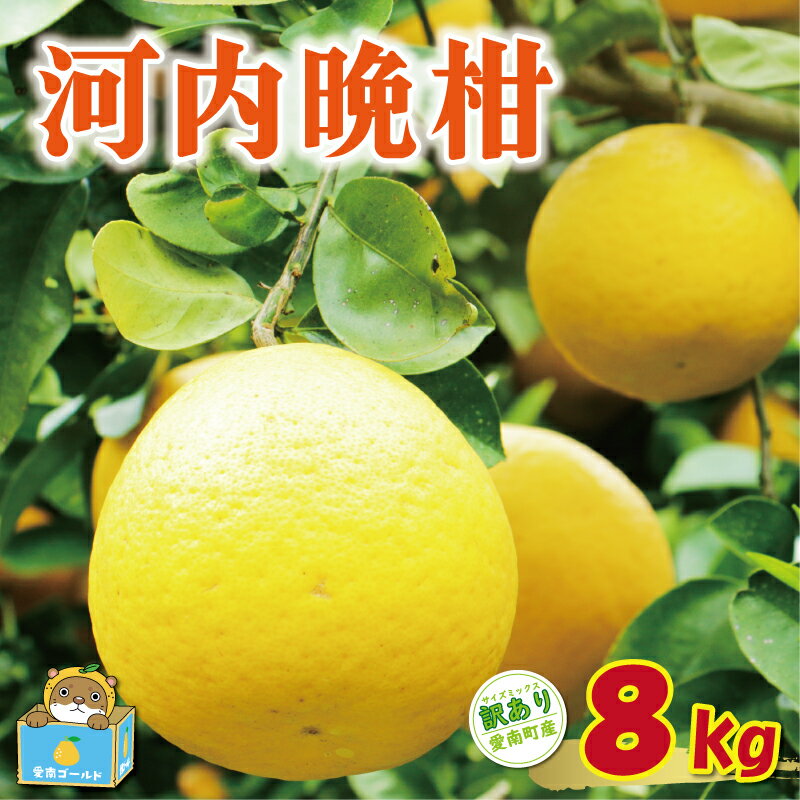 【 高評価 ★4.8】 先行予約 訳あり 河内晩柑 8kg 7000円 みかん かわちばんかん 愛南ゴールド あいなん ゴールド 美生柑 文旦 グレープフルーツ 和製 家庭用 国産 期間限定 数量限定 わけあり 人気 フルーツ 果物 柑橘 規格外 愛媛県 愛南町 塚岡農園