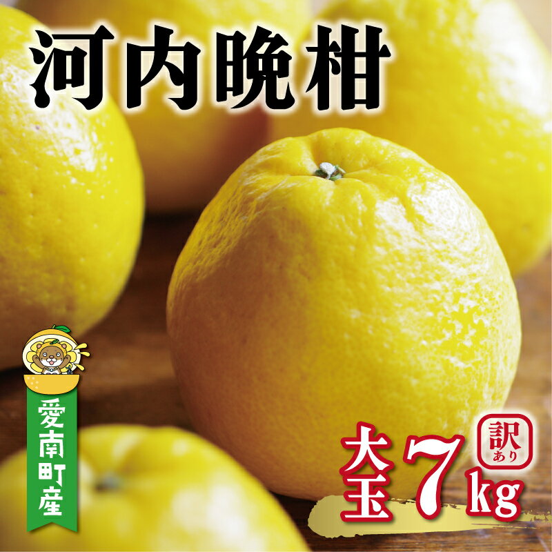先行予約 訳あり 河内晩柑 大玉 7kg 7000円 みかん かわちばんかん 愛南ゴールド あいなん ゴールド 美生柑 文旦 グレープフルーツ 和製 産地直送 国産 特産品 ゼリー ジュース 等に 人気 限定 甘い フルーツ 果物 柑橘 蜜柑 規格外 愛媛県 愛南町 塚岡農園