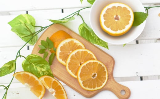 数量限定 先行予約 紅河内晩柑 選べる 規格 訳あり 2kg 5kg 8.5kg 通常品 6kg わけあり みかん mikan 蜜柑 ミカン かわちばんかん 愛南ゴールド あいなん ゴールド 文旦 派生 国産 期間限定 特産品 人気 限定 甘い フルーツ 果物 柑橘 あいなんマザーズ 愛南町 愛媛県 - 画像2