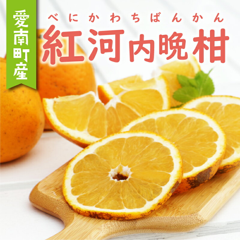 数量限定 先行予約 紅河内晩柑 選べる 規格 訳あり 2kg 5kg 8.5kg 通常品 6kg わけあり みかん mikan 蜜柑 ミカン かわちばんかん 愛南ゴールド あいなん ゴールド 文旦 派生 国産 期間限定 特産品 人気 限定 甘い フルーツ 果物 柑橘 あいなんマザーズ 愛南町 愛媛県