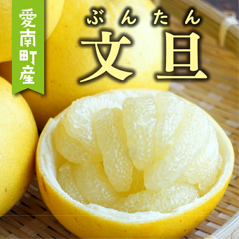 先行予約 選べる 規格 文旦 2kg 5kg 6kg 8.5kg 訳あり 通常品 5000円 7000円 10000円 Mサイズ 以上 ぶんたん みかん mikan 蜜柑 ミカン 国産 人気 期間限定 数量限定 甘い フルーツ 果物 柑橘 おいしい あいなんマザーズ 愛南町 愛媛県