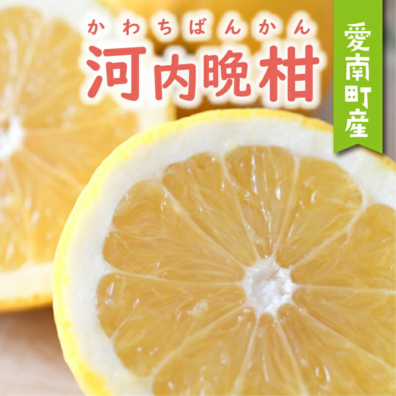 数量限定 先行予約 選べる 内容量 河内晩柑 2kg 4kg 5kg 6kg 8.5kg 訳あり 通常品 贈答用 わけあり かわちばんかん 愛南ゴールド 愛媛 みかん mikan 蜜柑 ミカン 国産 期間限定 特産 フルーツ 果物 柑橘 甘い 人気 おいしい あいなんマザーズ 愛南町 愛媛県