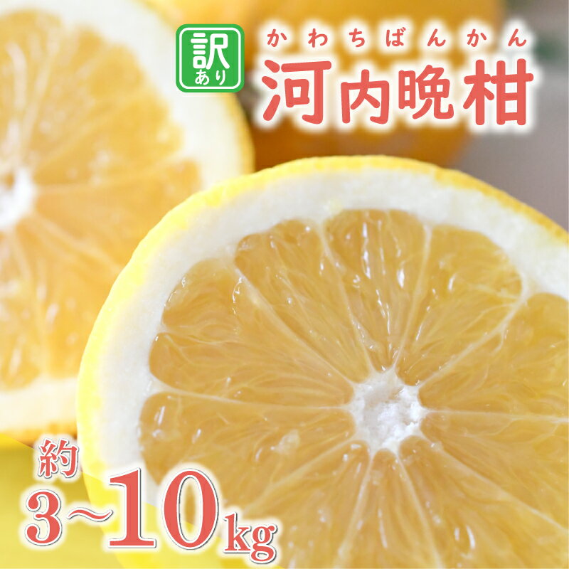 数量限定 先行予約 選べる 内容量 訳あり 河内晩柑 3kg 5kg 10kg わけあり かわちばんかん 愛南ゴールド 愛媛 みかん mikan 蜜柑 ミカン 国産 期間限定 特産品 フルーツ 果物 柑橘 甘い 人気 おいしい 産地直送 農家直送 あいなんマザーズ 愛南町 愛媛県