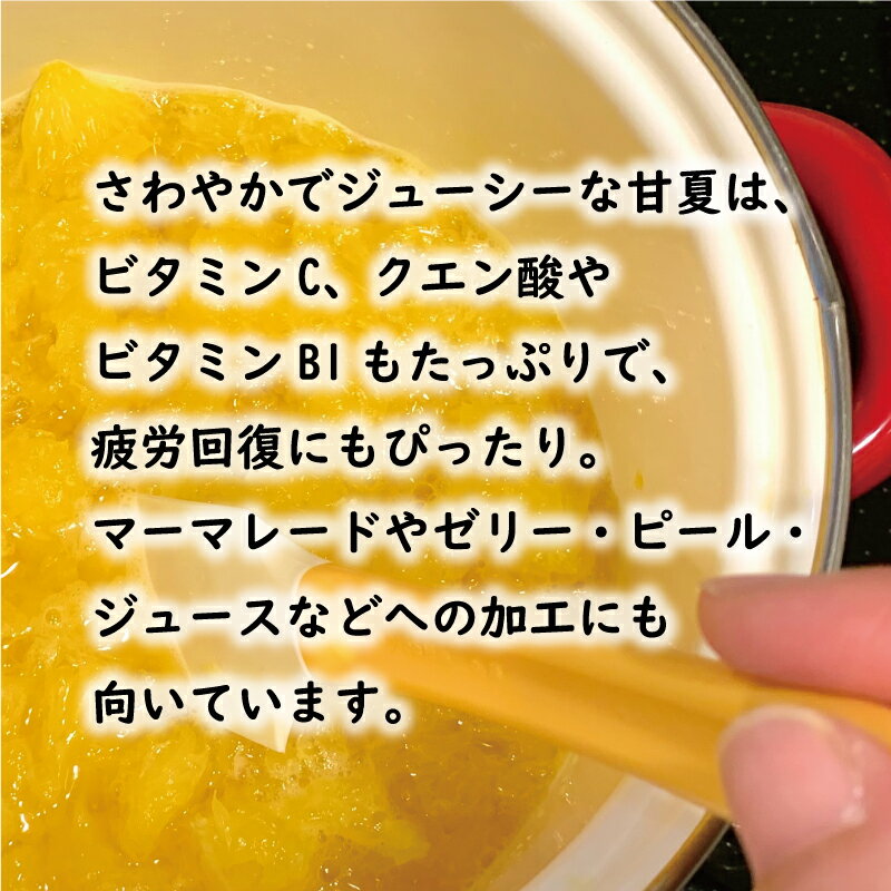 【ふるさと納税】 【高評価★4.67】 先行予約 選べる 規格 甘夏 10kg 訳あり 通常品 樹齢25年 以上 みかん 愛媛 ミカン mikan 蜜柑 わけあり あまなつ 夏みかん だいだい 国産 減農薬 期間限定 数量限定 人気 おいしい フルーツ 果物 柑橘 くらもとファーム 愛南町 愛媛県 - 画像2
