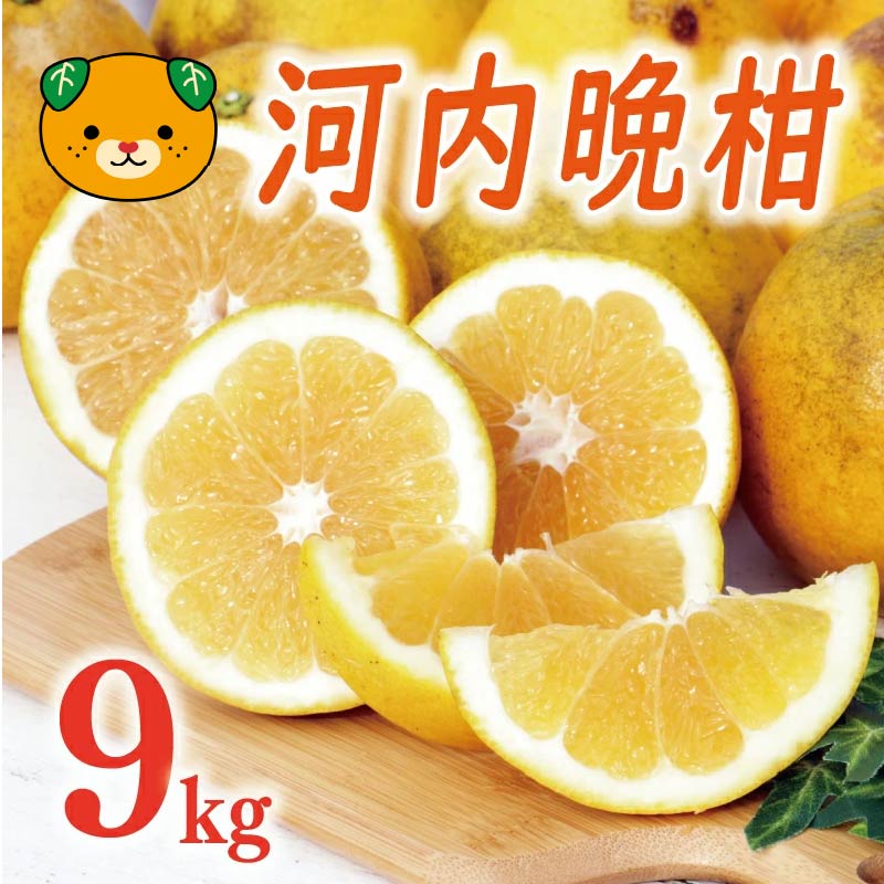 高評価 ★4.68 先行予約 選べる 規格 河内晩柑 樹齢 20年以上 9kg 訳あり 9000円 通常品 12000円 みかん わけあり かわちばんかん 愛南ゴールド あいなん ゴールド 国産 特産品 期間限定 ジュース フルーツ 果物 柑橘 くらもとファーム 愛南町 愛媛県