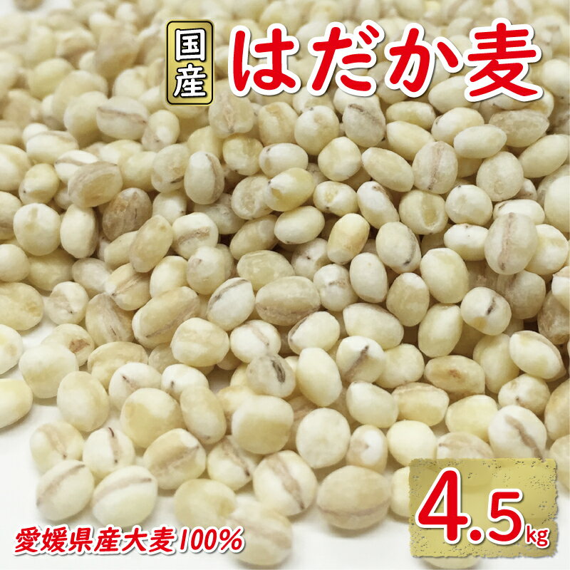 はだか麦 4.5kg 900g 小分け 5袋 10000円 国産 大麦 麦 麦ごはん むぎごはん 水溶性 食物繊維 腸内環境 ダイエット 健康 マルヤス味噌 愛南町 愛媛県