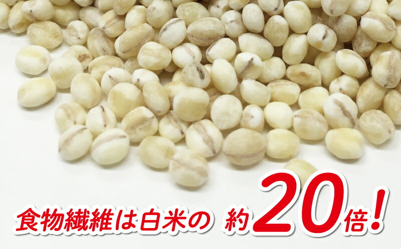 【ふるさと納税】 はだか麦 4.5kg 900g 小分け 5袋 10000円 国産 大麦 麦 麦ごはん むぎごはん 水溶性 食物繊維 腸内環境 ダイエット 健康 マルヤス味噌 愛南町 愛媛県 - 画像2
