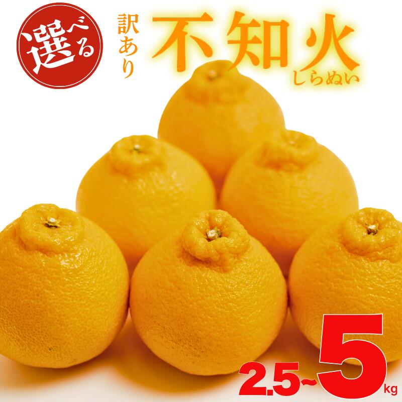 先行予約 選べる 容量 訳あり 減農薬 不知火 2.5kg 5kg サイズ ミックス 不揃い 柑橘 蜜柑 ミカン 家庭用 オレンジ mikan 国産 果物 フルーツ デザート ジュース 果実 果汁 甘い ジューシー 濃厚 おいしい 産地 直送 特産品 愛媛県 愛南町 愛南フルーツ