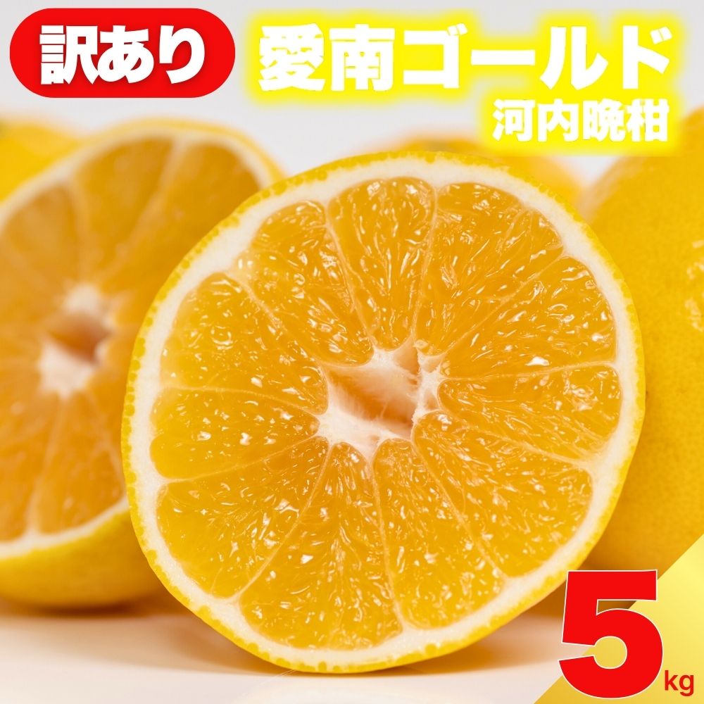 先行予約 訳あり 減農薬 愛南ゴールド 河内晩柑 5kg サイズ ミックス 家庭用 農家直送 不揃い 柑橘 みかん 蜜柑 和製 グレープフルーツ 予約受付 数量限定 ジュース ゼリー ジャム マーマレード デザート 焼酎 割り サワー 愛媛県 愛南町 愛南フルーツ