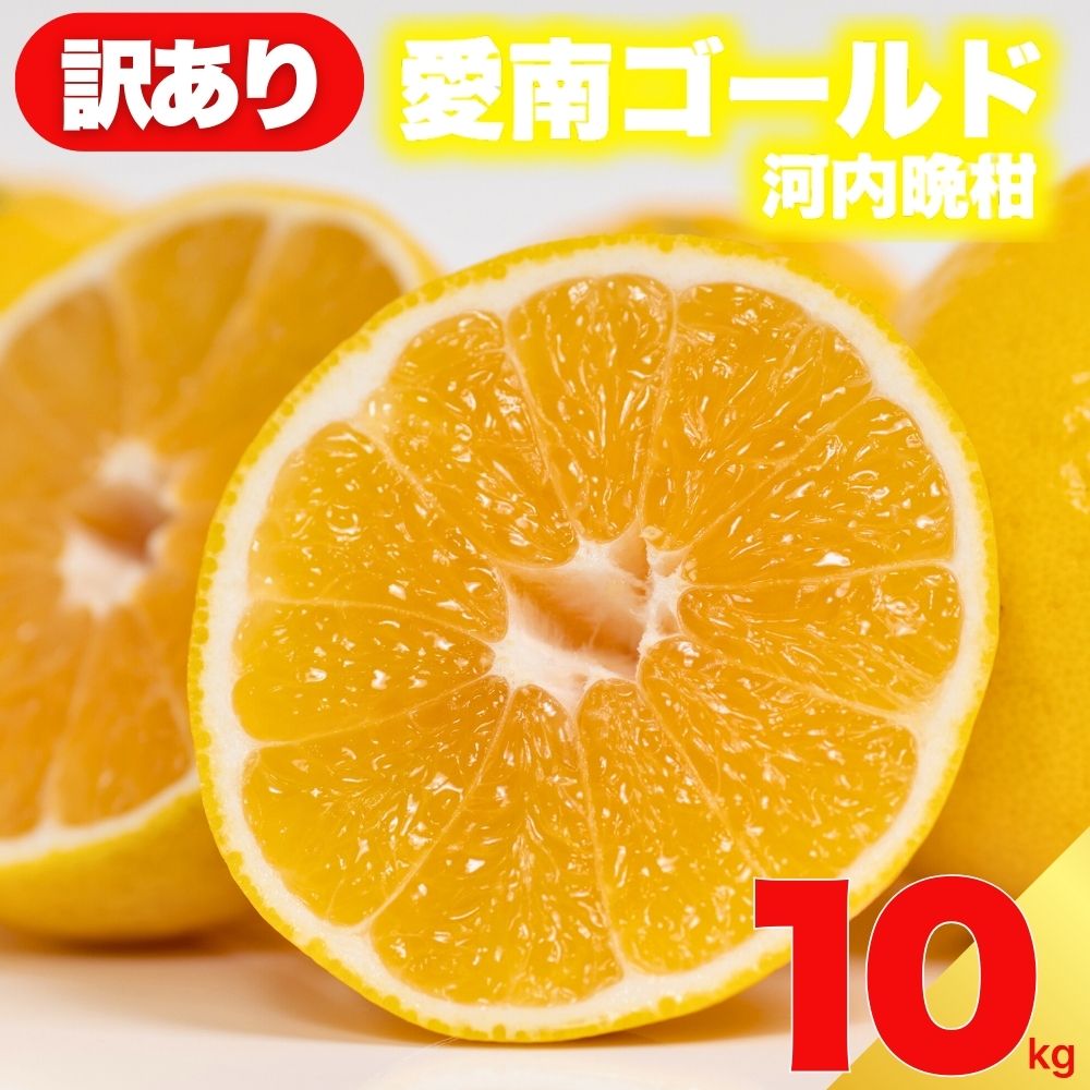 先行予約 訳あり 減農薬 愛南ゴールド 河内晩柑 10kg サイズ ミックス 家庭用 農家直送 不揃い 柑橘 みかん 蜜柑 和製 グレープフルーツ 予約受付 数量限定 ジュース ゼリー ジャム マーマレード デザート 焼酎 割り サワー 愛媛県 愛南町 愛南フルーツ