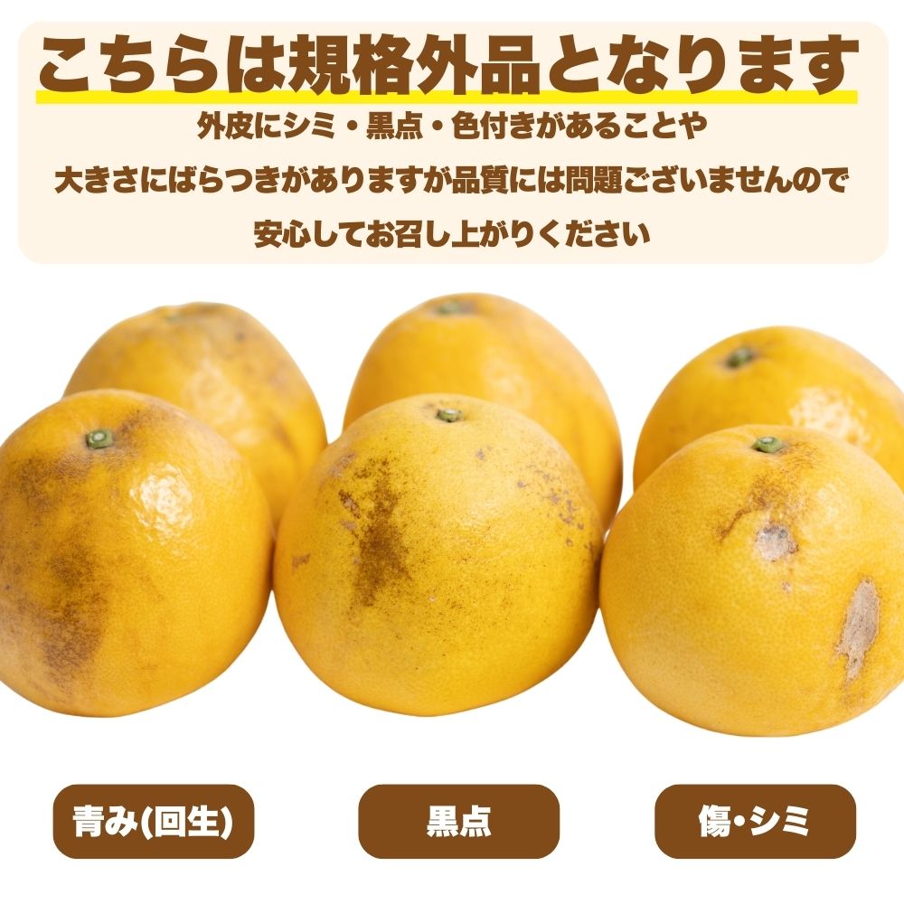 【ふるさと納税】 先行予約 訳あり 減農薬 愛南ゴールド 河内晩柑 5kg サイズ ミックス 家庭用 農家直送 不揃い 柑橘 みかん 蜜柑 和製 グレープフルーツ 予約受付 数量限定 ジュース ゼリー ジャム マーマレード デザート 焼酎 割り サワー 愛媛県 愛南町 愛南フルーツ サムネイル3