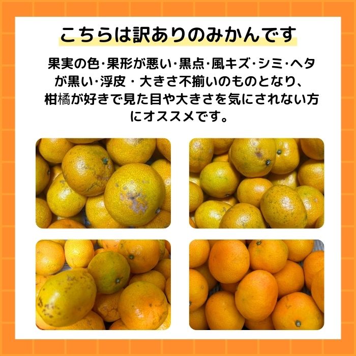 【ふるさと納税】 高評価★4.4 訳あり愛媛みかん 選べる内容量 1kg 3kg 5kg 2kg×2箱 ( 傷み保証 300g) 小玉 S 光センサー選果 柑橘 果物 フルーツ 不揃い オレンジ 訳アリ 蜜柑 果実 温州みかん 極早生 早生 晩生 愛媛 みかん職人武田屋 愛媛県 愛南町 サムネイル3