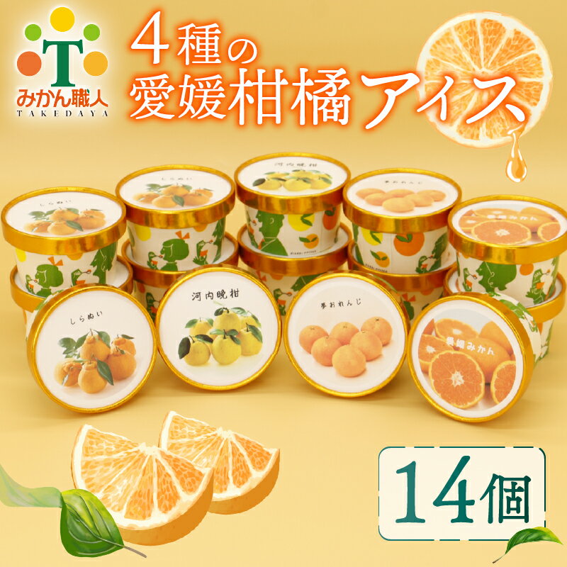 4種 の 愛媛 柑橘 カップ アイス 食べ比べ 容量 14個 各65ml ( 夢オレンジ 河内晩柑 愛媛みかん 不知火 ) シャーベット ジェラート カップアイス アイスクリーム デコポン フルーツ 柑橘 氷菓 温州みかん 果物 果実 みかん職人武田屋 愛媛県 愛南町
