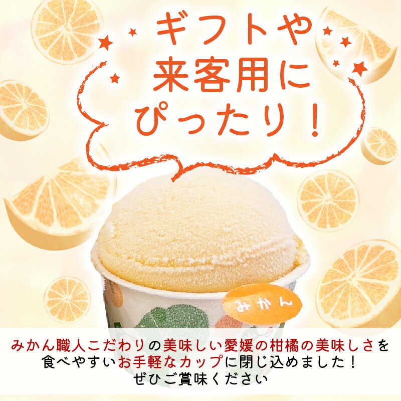【ふるさと納税】 4種 の 愛媛 柑橘 カップ アイス 食べ比べ 容量 14個 各65ml ( 夢オレンジ 河内晩柑 愛媛みかん 不知火 ) シャーベット ジェラート カップアイス アイスクリーム デコポン フルーツ 柑橘 氷菓 温州みかん 果物 果実 みかん職人武田屋 愛媛県 愛南町 - 画像3