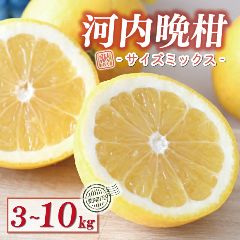 訳あり 木成り 河内晩柑 樹齢 20年以上 3kg 6kg 7kg 10kg サイズミックス みかん かわちばんかん ミカン mikan わけあり 愛南ゴールド あいなん 文旦 派生 国産 減農薬 数量限定 特産品 人気 小玉 含む 柑橘 お試し 少量 規格外 宮下明良 愛南町 愛媛県