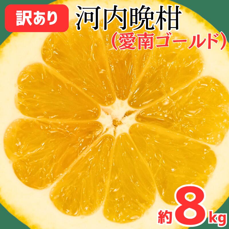 訳あり 愛南ゴールド ( 河内晩柑 ) 8kg みかん 蜜柑 河内晩柑 和製 グレープフルーツ 傷 不揃い 規格外 常温 愛媛県 愛南町 愛なんよ