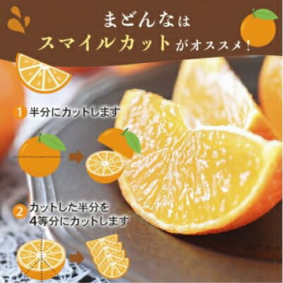 【ふるさと納税】 数量限定 先行予約 まどんな 4kg 14000円 高級 人気 ブランド プレミアム 産地直送 農家直送 愛媛 みかん mikan 蜜柑 ミカン 国産 期間限定 特産品 フルーツ 果物 柑橘 甘い おいしい お取り寄せ ギフト プレゼント お礼 みかんの山祥 愛南町 愛媛県 サムネイル3