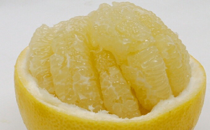 【ふるさと納税】 数量限定 先行予約 土佐文旦 9kg 14000円 みかん 文旦 ぶんたん 国産 産地直送 農家直送 期間限定 ビタミン 特産品 人気 さわやか 甘い フルーツ 果物 果実 柑橘 蜜柑 おいしい 愛媛 みかん ブランド ゼリー ジュース マーマレード 愛南町 愛媛県 吉田農園 サムネイル2