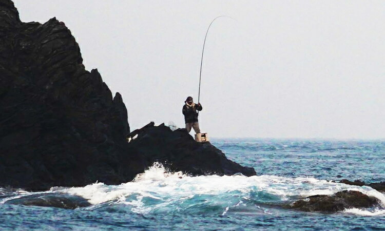 【ふるさと納税】 渡船 乗船券 [古川渡船] 愛南町 磯 渡し 釣り場 人気 フィッシング ポイント 西海 スポーツ 南部 沖磯 ヤッカン アブセ 本バエ 大物 ハマチ グレ メジナ 石鯛 サムネイル3