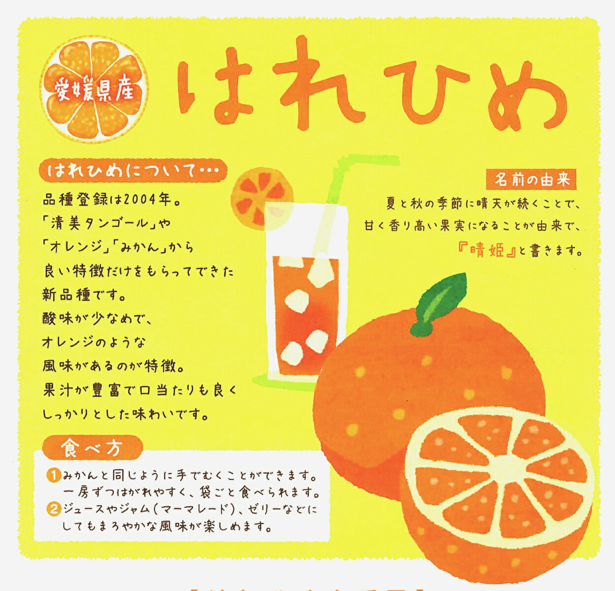 【ふるさと納税】 訳あり 晴姫 はれひめ 1.5kg 3kg 5kg かんきつ 柑橘 ふるさと納税 みかん ふるさと納税 訳あり 傷 規格外 柑橘 果物 フルーツ 愛媛県 愛南町 ) みかん職人武田屋 サムネイル2