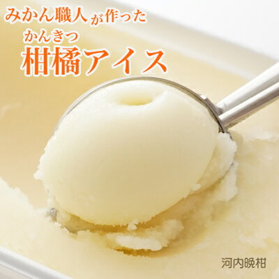 【ふるさと納税】 アイス 柑橘 不知火 しらぬい 河内晩柑 1000ml 2種 ギフト 詰め合わせ 有名 みかん職人 武田屋 お取り寄せ 贈り物 贈答品 氷菓 シャーベット ソルベ 美味しい フルーツ 果汁 ご当地 内祝い サムネイル2