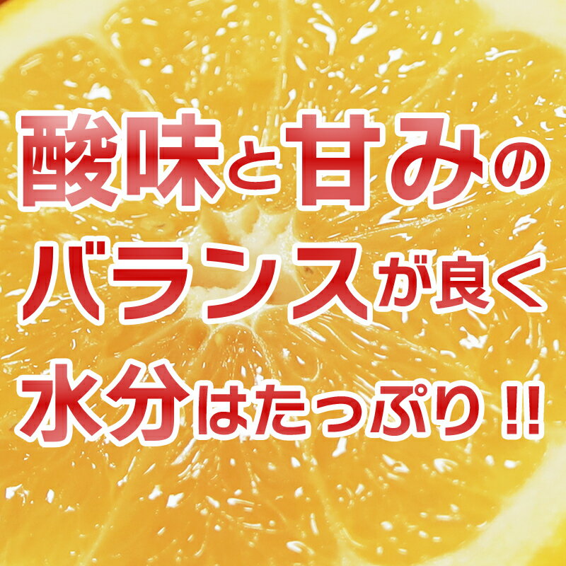 【ふるさと納税】 訳あり 河内晩柑 小粒っ子 10kg 小玉 柑橘 国産 愛媛 果物 フルーツ 特産品 みかん職人武田屋 河内晩柑 ふるさと納税 河内晩柑 みかん 小玉 おいしい ビタミン 傷 家庭用 先行予約 発送期間: 2026年3月下旬〜 (なくなり次第終了) サムネイル2