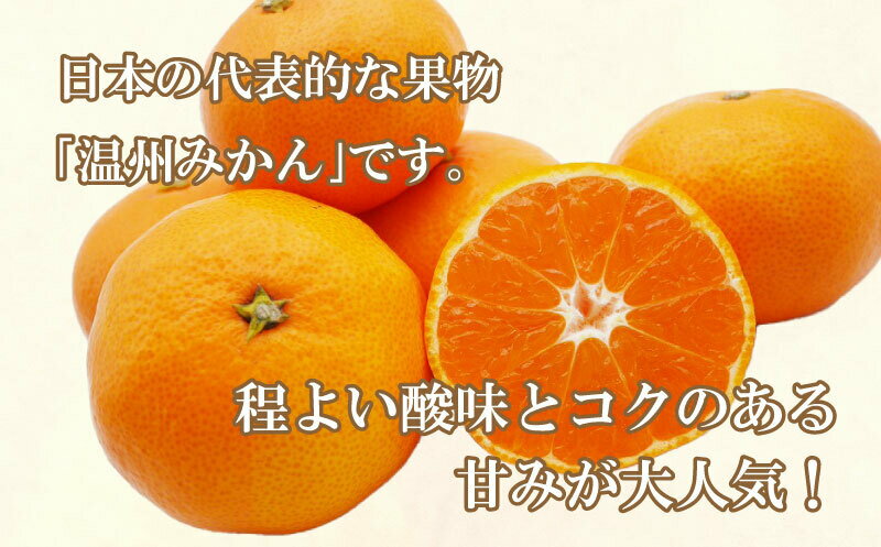 【ふるさと納税】 【高評価★4.6】 先行予約 選べる容量 愛媛みかん 3kg 5kg 10kg 訳あり 通常品 期間限定 愛媛 みかん 温州みかん mikan 蜜柑 ミカン 国産 期間限定 数量限定 特産品 フルーツ 果物 柑橘 おいしい 傷み補償 付き 吉田農園 愛南町 愛媛県 サムネイル2