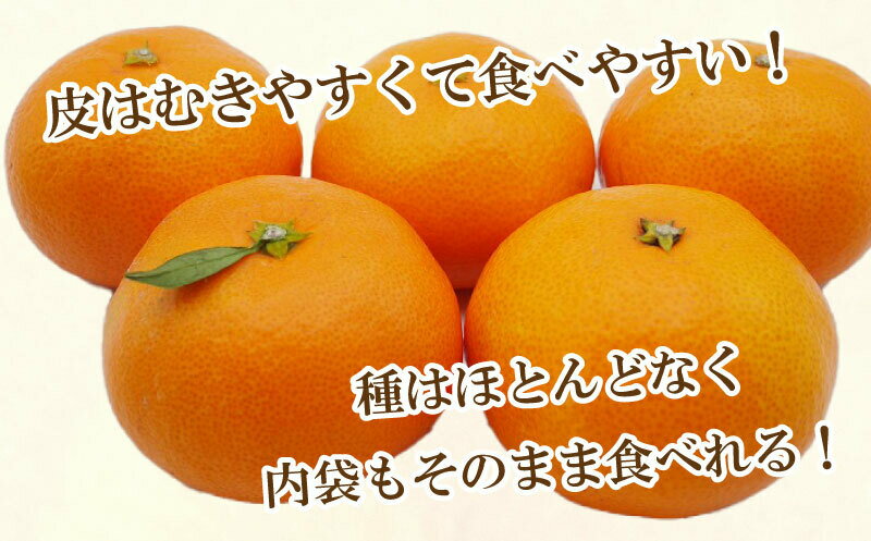 【ふるさと納税】 【高評価★4.6】 先行予約 選べる容量 愛媛みかん 3kg 5kg 10kg 訳あり 通常品 期間限定 愛媛 みかん 温州みかん mikan 蜜柑 ミカン 国産 期間限定 数量限定 特産品 フルーツ 果物 柑橘 おいしい 傷み補償 付き 吉田農園 愛南町 愛媛県 サムネイル3