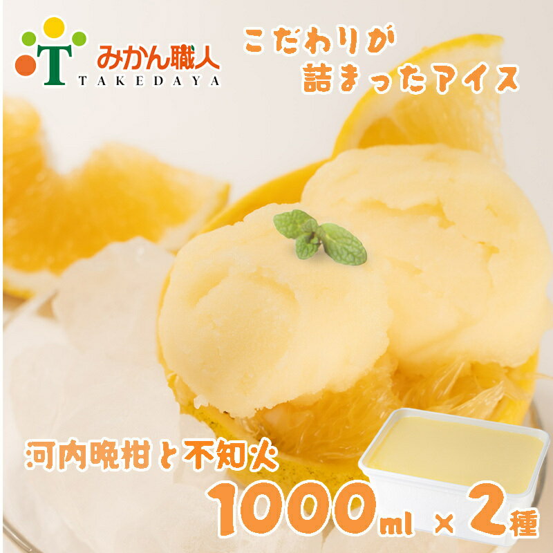 アイス 柑橘 不知火 しらぬい 河内晩柑 1000ml 2種 ギフト 詰め合わせ 有名 みかん職人 武田屋 お取り寄せ 贈り物 贈答品 氷菓 シャーベット ソルベ 美味しい フルーツ 果汁 ご当地 内祝い