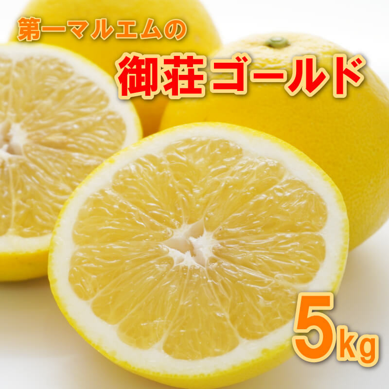 御荘ゴールド 5kg 8000円 みかん mikan 蜜柑 ミカン 河内晩柑 かわちばんかん 愛南ゴールド 産地直送 国産 農家直送 期間限定 数量限定 特産品 ゼリー ジュース アイス 冷凍 みかん 等に 人気 甘い フルーツ 果物 柑橘 おいしい 第一マルエム 愛南町 愛媛県