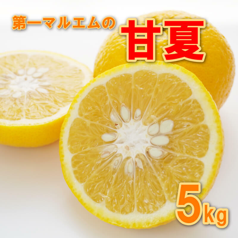 甘夏 5kg 7000円 みかん mikan 蜜柑 ミカン あまなつ 産地直送 国産 農家直送 期間限定 数量限定 特産品 ゼリー ジュース アイス 冷凍 みかん 等に 人気 甘い フルーツ 果物 柑橘 おいしい ジューシー ビタミン 健康 第一マルエム 愛南町 愛媛県