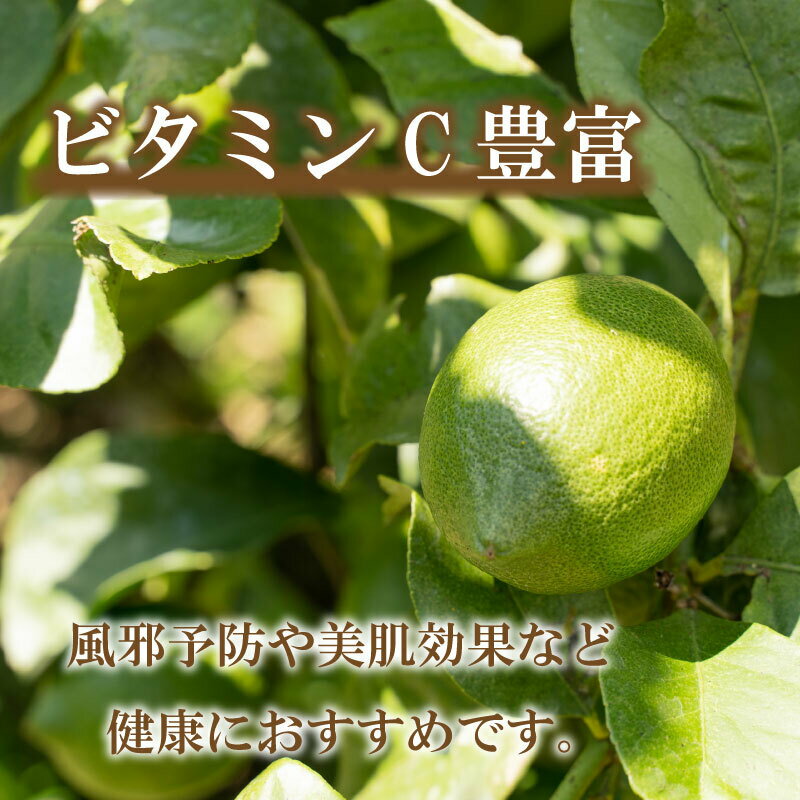 【ふるさと納税】 【先行予約】10月上旬～発送予定 レモン 約 3kg 24個 10000円 檸檬 フルーツ 果物 くだもの 柑橘 国産 新鮮 減農薬 ノンワックス 防腐剤 不使用 ビタミンC 美容 美肌 健康 皮ごと みかん 蜜柑 さっぱり 料理 産地 直送 愛媛県 愛南町 サムネイル3