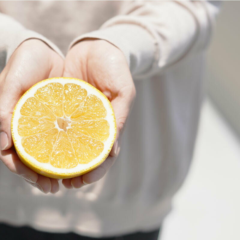 【ふるさと納税】 【先行予約 2026年6月ごろ発送開始】訳あり 河内晩柑 ばんかん 約 10kg 不揃い 大小ミックス 傷あり 柑橘 かんきつ フルーツ 果物 くだもの 厳選 愛媛 みかん 蜜柑 愛南 ご当地 ブランド ピール ゼリー お菓子 デザート マルエム直販 (なくなり次第終了) サムネイル2