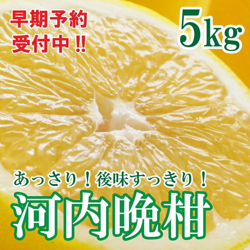 【先行予約 2026年6月ごろ発送開始】 河内晩柑 ばんかん 約 5kg 家庭 柑橘 かんきつ フルーツ 果物 くだもの 厳選 愛媛 みかん 蜜柑 愛南 ご当地 ブランド 野菜 サラダ ピール ゼリー お菓子 デザート マルエム直販 (なくなり次第終了)