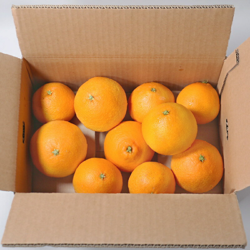 【ふるさと納税】 先行予約 選べる 規格 容量 愛南マドンナ 3kg 5kg 訳あり 精品 まどんな 紅まどんな 愛果28号 みかん 蜜柑 mikan ミカン 高級 人気 ブランド 柑橘 果物 フルーツ ビタミン 美容 健康 国産 産地 直送 愛媛県 愛南町 山口農園 サムネイル2