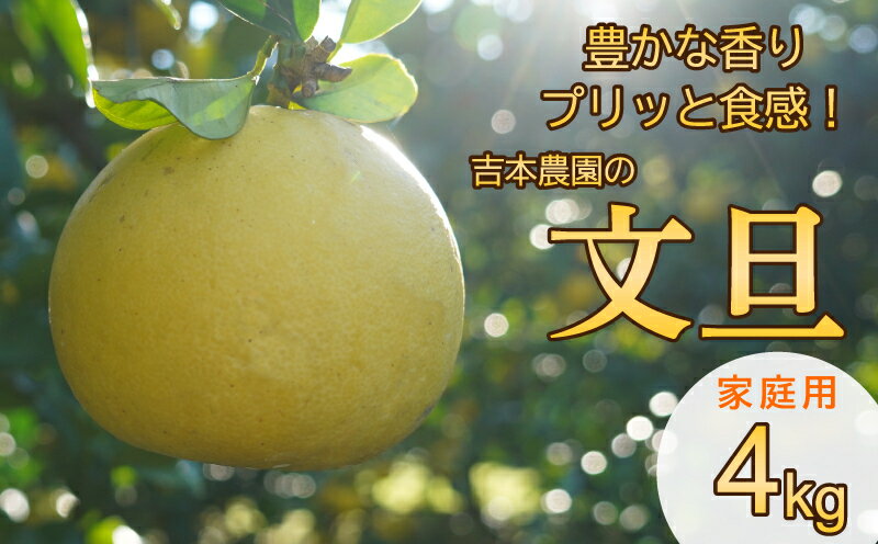 【家庭用】 香り豊かなプリッと食感！吉本農園の文旦4kg 発送:3月上旬〜なくなり次第終了