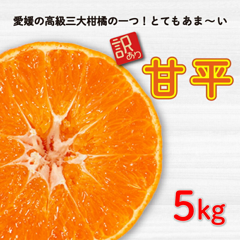 先行予約 訳あり 甘平5kg みかん 蜜柑 mikan 甘平 ポンカン 高級 人気 ブランド 柑橘 果物 フルーツ 甘い おいしい お取り寄せ 数量限定 産地直送 農家直送 国産 特産品 中山農園 愛媛県 愛南町