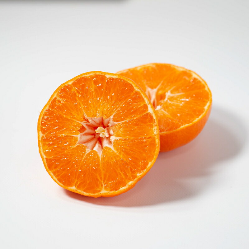 【ふるさと納税】 【数量限定】 先行予約 甘平5kg 精品 家庭用 みかん 蜜柑 甘平 ポンカン 高級 紅まどんな せとか 人気 ブランド 柑橘 果物 フルーツ ギフト 贈り物 プレゼント お取り寄せ 産地直送 農家直送 国産 特産品 中山農園 愛媛県 愛南町 サムネイル2